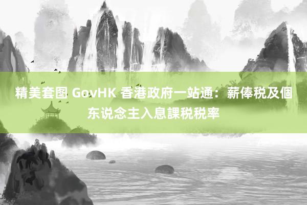 精美套图 GovHK 香港政府一站通：薪俸税及個东说念主入息課税税率