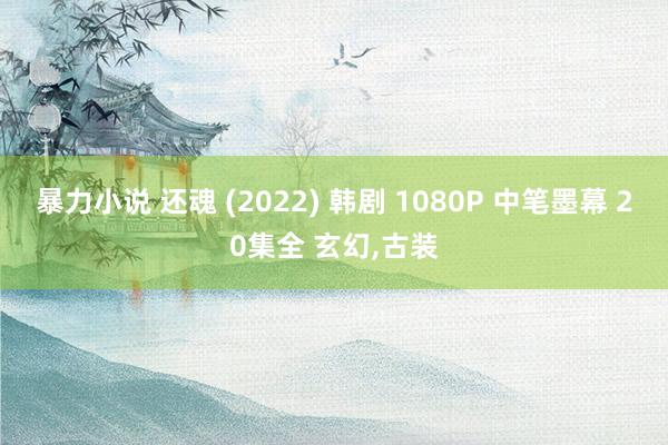 暴力小说 还魂 (2022) 韩剧 1080P 中笔墨幕 20集全 玄幻,古装