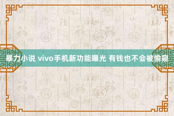 暴力小说 vivo手机新功能曝光 有钱也不会被偷窥