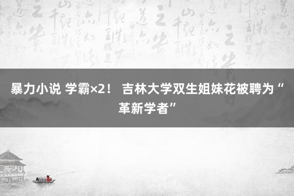 暴力小说 学霸×2！ 吉林大学双生姐妹花被聘为“革新学者”