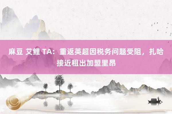 麻豆 艾鲤 TA：重返英超因税务问题受阻，扎哈接近租出加盟里昂
