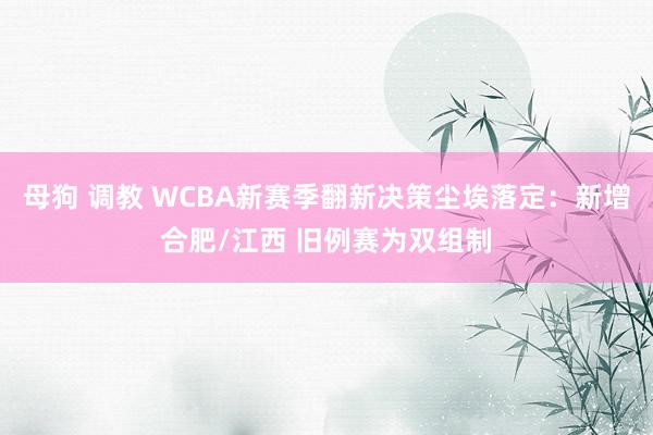 母狗 调教 WCBA新赛季翻新决策尘埃落定：新增合肥/江西 旧例赛为双组制