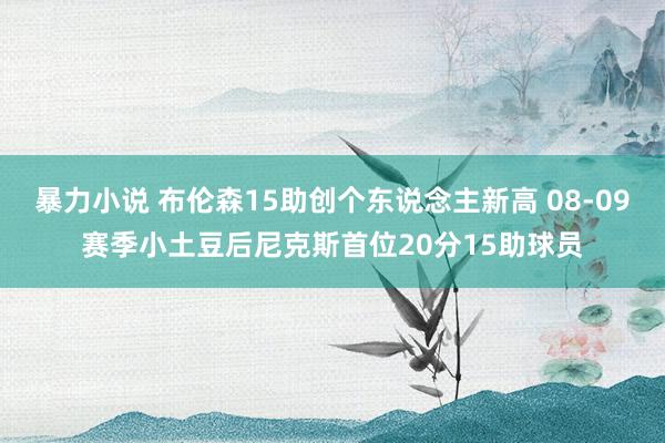 暴力小说 布伦森15助创个东说念主新高 08-09赛季小土豆后尼克斯首位20分15助球员