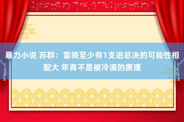 暴力小说 苏群：雷骑至少有1支进总决的可能性相配大 年青不是被冷漠的原理