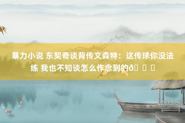 暴力小说 东契奇谈背传文森特：这传球你没法练 我也不知谈怎么作念到的😎